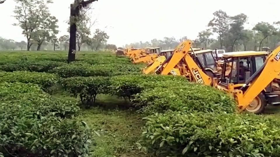 Located around 25 km away from Cachar’s headquarter Silchar, Doloo tea estate has around 10,000 “bighas” of land. (HT Photo) Located around 25 km away from Cachar’s headquarter Silchar, Doloo tea estate has around 10,000 “bighas” of land. (HT Photo)