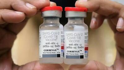 Hyderabad-based Biological E’s anti-Covid vaccine Corbevax was granted approval as a booster dose on Saturday. (HT FILE PHOTO.) Hyderabad-based Biological E’s anti-Covid vaccine Corbevax was granted approval as a booster dose on Saturday. (HT FILE PHOTO.)
