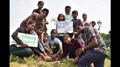 People planting saplings on the banks of a pond in the village of Nagepur on Saturday. (HT PHOTO)