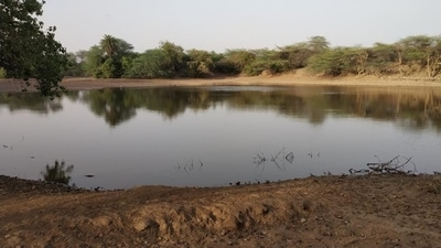 The NHRC said that society has&nbsp;to find a balance between the need for development and preserving the ecosystem and climate. (HT File Photo)