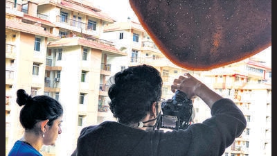 Rajani Mani’s documentary, Colonies in Conflict, explores bees’ roles as pollinators and how they are navigating a changing world. Rajani Mani’s documentary, Colonies in Conflict, explores bees’ roles as pollinators and how they are navigating a changing world.