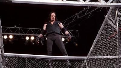 WWE: The Undertaker after his Hell in a Cell match against Mankind (WWE) WWE: The Undertaker after his Hell in a Cell match against Mankind (WWE)