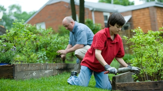 4. Try home composting/home gardening - Create your own home garden for better surroundings, and instead of using the pesticide, try home composting for vegetable waste and food leftovers which can provide organic nutrients to the plants and vegetables like vegetable peels, tea, coffee and many more.&nbsp;(Photo by CDC on Unsplash)