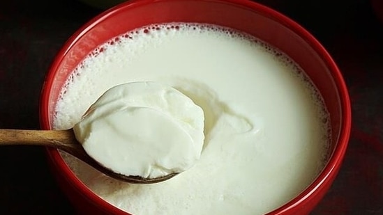 Dahi (Yogurt): Curd keeps the body cool from within and is a good source of probiotics for a toddler's gut health. It contains lactobacillus, a bacterium that balances the intestinal tract and relieves acidity and diarrhea. Being rich in calcium, phosphorus, and protein helps build strong bones and teeth and overall development. Curd can be included in many ways into a toddler's diet like raita, lassi, buttermilk, curd rice, and fruit yogurt.(Pinterest)