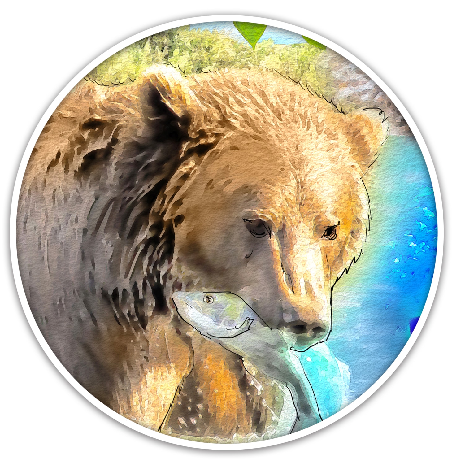 Alaska’s brown bears are switching to a vegetarian diet of elderberries instead of the usual salmon because warmer temperatures are ripening the fruit earlier in the year. (Malay Karmakar/ Hindustan Times)