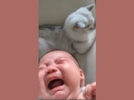 The image is taken from the viral video on Reddit. (Reddit/@reallyumt) The image is taken from the viral video on Reddit. (Reddit/@reallyumt)