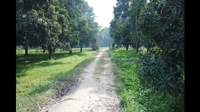 Panchayats with zero carbon footprints to be awarded: UP minister (Sourced)