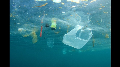 Single -use plastic banned in Punjab from July (Shutterstock)