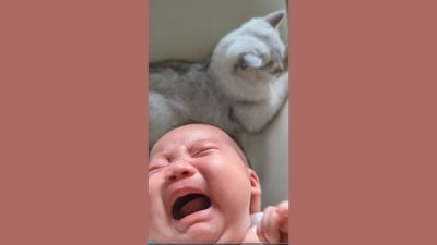 The image is taken from the viral video on Reddit.&nbsp; (Reddit/@reallyumt)