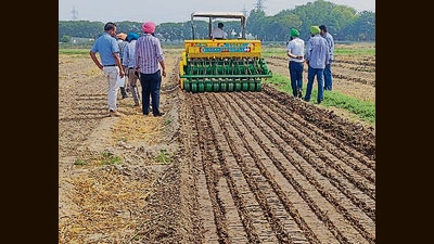 Paddy sowing: Punjab farmers miss DSR deadline Paddy sowing: Punjab farmers miss DSR deadline