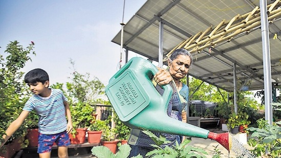 The Mehtas have converted the area under the solar panels into a greenhouse. Raj K Raj/HT)