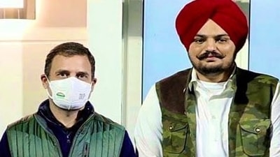 Moose Wala had joined the Congress just months before the Punjab elections. ((Tweeted by @DalitCongress) ) Moose Wala had joined the Congress just months before the Punjab elections. ((Tweeted by @DalitCongress) )