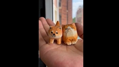 The image, taken from the viral video, shows wodden cat and dog. (Reddit/@Thund3rbolt) The image, taken from the viral video, shows wodden cat and dog. (Reddit/@Thund3rbolt)