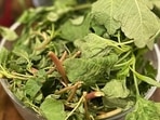 When we talk about green leafy vegetables, it is spinach, fenugreek or cabbage that come to mind first. The lesser-known amarnath or chaulai may not attract much of spotlight in comparison but is a storehouse of nutrients. Here are its amazing health benefits explained by nutritionist Lovneet Batra.(Instagram/Lovneet Batra)