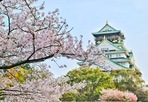 Tourists visiting Japan told to wear masks, buy private health insurance or risk getting kicked out(Pexels) Tourists visiting Japan told to wear masks, buy private health insurance or risk getting kicked out(Pexels)
