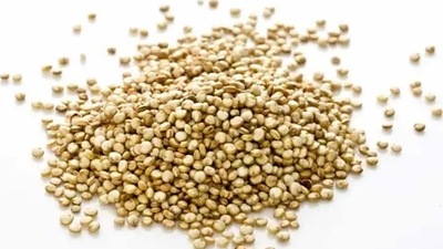 Protects against cancer: The presence of lysine (an essential amino acid) along with vitamin E, iron, magnesium, phosphorus, potassium and vitamin C helps to fight against free radicals responsible for ageing and formation of malignant cells which helps in fighting against cancer. (Pinterest)