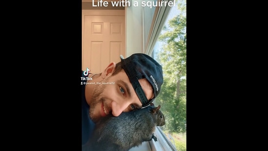 The image, taken from the viral viral on Instagram, shows the pet squirrel with its human.(Instagram/@peanut_the_squirrel12)