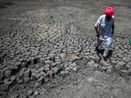 A villager walking through the cracked bottom of a dried-out pond at Bandai village in Pali district, Rajasthan. A villager walking through the cracked bottom of a dried-out pond at Bandai village in Pali district, Rajasthan. 