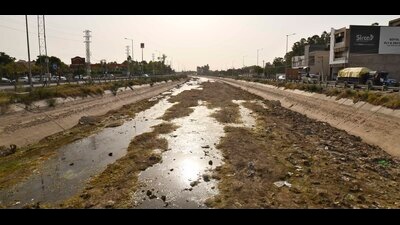 A dried up canal which was earlier used to irrigate rice fields in Ludhiana A dried up canal which was earlier used to irrigate rice fields in Ludhiana