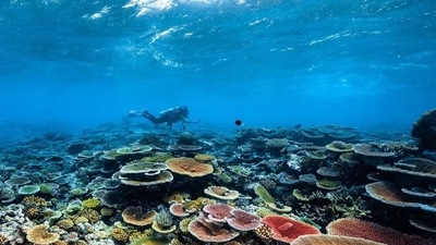 World Ocean Day 2022: Twitter is filled with photo and video wishes. (facebook) World Ocean Day 2022: Twitter is filled with photo and video wishes. (facebook)