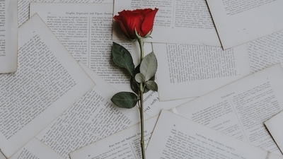 The Redditor's post about their grandma's letter to their grandfather won people's hearts (representational image). (Unsplash/@anniespratt)