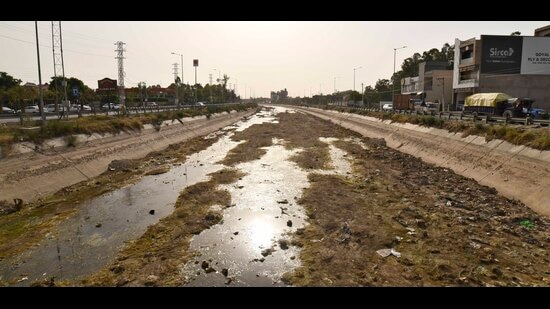 A dried up canal which was earlier used to irrigate rice fields in Ludhiana