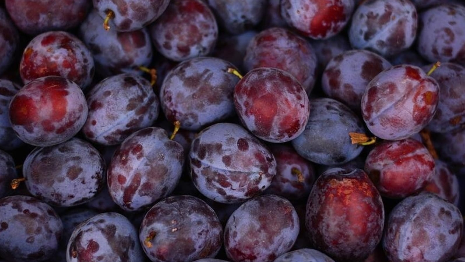 Many benefits of eating plums or aloo bukhara in summer season