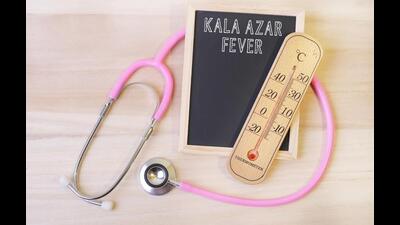 Bihar reported 163 of India’s total 215 cases of kala azar and four of the five deaths in the last financial year. (Picture for representation) Bihar reported 163 of India’s total 215 cases of kala azar and four of the five deaths in the last financial year. (Picture for representation)