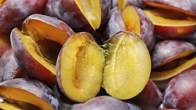 Aids in lowering sugar levels: Plums have properties that may help with blood sugar control. Despite being fairly high in carbs, plums do not appear to cause a substantial rise in blood sugar levels after they are eaten. This is attributed to their potential to increase levels of adiponectin, a hormone that plays a role in blood sugar regulation. Additionally, the fibre in plums may be partly responsible for their effects on blood sugar. (Pixabay) Aids in lowering sugar levels: Plums have properties that may help with blood sugar control. Despite being fairly high in carbs, plums do not appear to cause a substantial rise in blood sugar levels after they are eaten. This is attributed to their potential to increase levels of adiponectin, a hormone that plays a role in blood sugar regulation. Additionally, the fibre in plums may be partly responsible for their effects on blood sugar. (Pixabay)