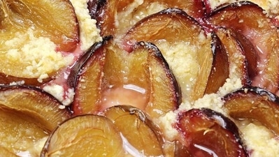 Anti-cancer agents: Plums are high in unique phytonutrients or their anti-cancer agents called neochlorogenic and chlorogenic acid. These phenols are found to kill breast cancer cells, without harming healthy cells. (Pixabay) Anti-cancer agents: Plums are high in unique phytonutrients or their anti-cancer agents called neochlorogenic and chlorogenic acid. These phenols are found to kill breast cancer cells, without harming healthy cells. (Pixabay)