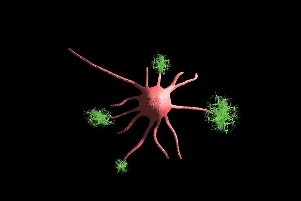 Nerve health issues can be controlled at an early stage if not completely avoided by adopting simple lifestyle changes. (Pixabay)
