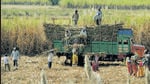 Punjab government pays a state advised price (SAP) of Rs. 360 per quintal for early maturing varieties and <span class='webrupee'>₹</span>350 a quintal for late maturing cane (Hindustan Times) Punjab government pays a state advised price (SAP) of Rs. 360 per quintal for early maturing varieties and <span class='webrupee'>₹</span>350 a quintal for late maturing cane (Hindustan Times)