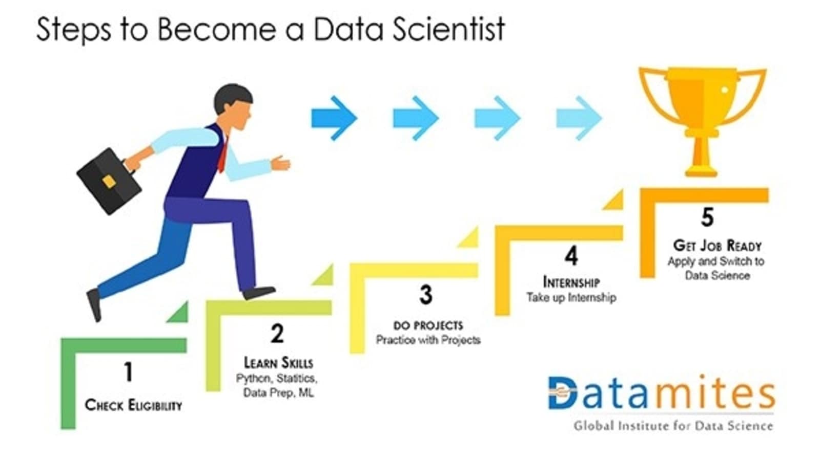 How to Become a Data Scientist After the 12th Standard?