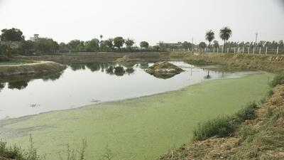 A pond at Naiphal village in Ghaziabad on Friday. Water bodies in Ghaziabad are seeing a dip in groundwater levels. (Sakib Ali/ HT) A pond at Naiphal village in Ghaziabad on Friday. Water bodies in Ghaziabad are seeing a dip in groundwater levels. (Sakib Ali/ HT)