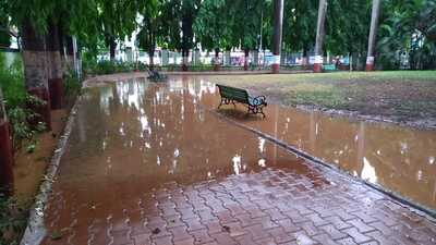 Waterlogging was seen in a garden at Wanowrie. (HT PHOTO)