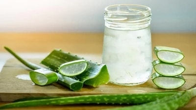 7. Aloe Vera - Rubbing natural Aloe Vera juice extracted freshly from the leaf is very beneficial for the skin- it treats sunburn, moisturizes, treats acne, fights aging, and soothes the skin. Also, drinking aloe juice on empty stomach helps in digestion and makes skin radiant externally owing to the great amount of Vitamin C, E, and beta carotene in it. (Shutterstock) 7. Aloe Vera - Rubbing natural Aloe Vera juice extracted freshly from the leaf is very beneficial for the skin- it treats sunburn, moisturizes, treats acne, fights aging, and soothes the skin. Also, drinking aloe juice on empty stomach helps in digestion and makes skin radiant externally owing to the great amount of Vitamin C, E, and beta carotene in it. (Shutterstock)