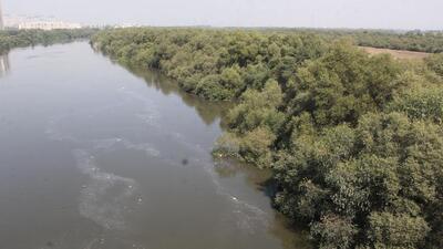 The leak was first flagged by environmentalist and director of Vanashakti Stalin D and Harish Sutar, a local fisherman, on Friday, May 20. (Praful Gangurde/ Hindustan Times) The leak was first flagged by environmentalist and director of Vanashakti Stalin D and Harish Sutar, a local fisherman, on Friday, May 20. (Praful Gangurde/ Hindustan Times)