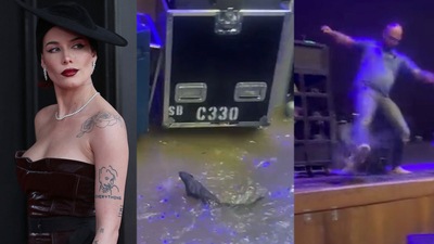 Halsey's concert was cancelled last minute due to flash floods.