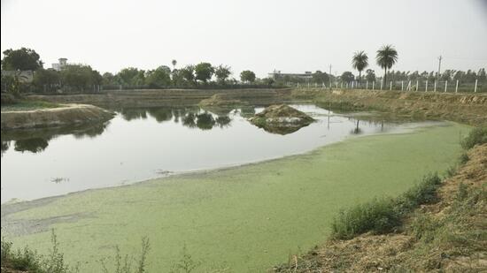 A pond at Naiphal village in Ghaziabad on Friday. Water bodies in Ghaziabad are seeing a dip in groundwater levels. (Sakib Ali/ HT)