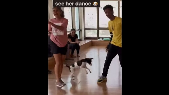 Doggo and humans dance to AR Rahman's Hosanna. (Instagram/@hoody_magic)