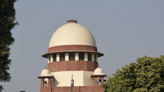 The bench clarified that the order was not to suggest that the maternal aunt was not capable of looking after the best interests of the child. (Burhaan Kinu/HT file photo) The bench clarified that the order was not to suggest that the maternal aunt was not capable of looking after the best interests of the child. (Burhaan Kinu/HT file photo)