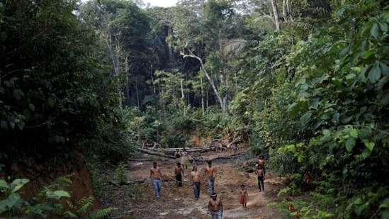 A tribo Mura mostra uma área desmatada em terras indígenas não marcadas da Amazônia.