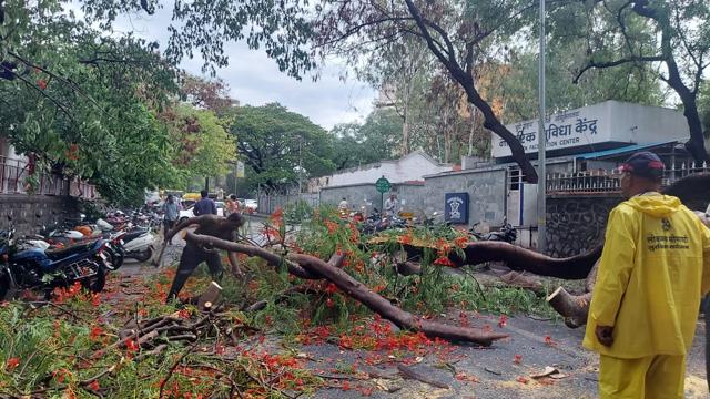 At least 25 two-wheelers parked outside the police commissioner’s headquarters were damaged as a massive tree fell from across the road due to incessant rains on Friday evening (HT PHOTO)