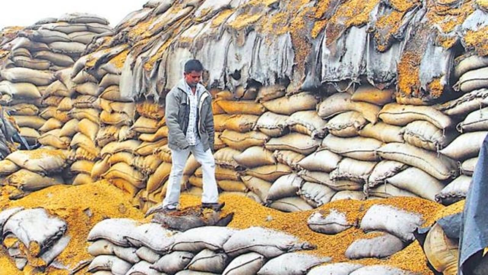 India To Pitch For Food Security Steps At WTO Meet | Latest News India ...