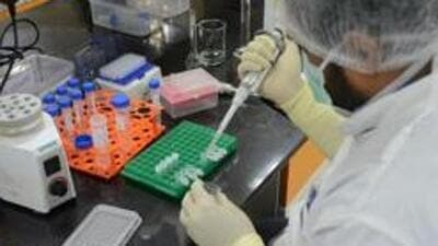 The Pune Municipal Corporation (PMC) reported 140 new Covid cases, Pune rural reported 31 new cases and Pimpri Chinchwad Municipal Corporation (PCMC) reported 51 cases, according to the state health department. (REPRESENTATIVE PHOTO) The Pune Municipal Corporation (PMC) reported 140 new Covid cases, Pune rural reported 31 new cases and Pimpri Chinchwad Municipal Corporation (PCMC) reported 51 cases, according to the state health department. (REPRESENTATIVE PHOTO)
