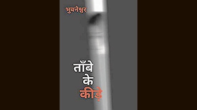 Bhuwaneshwar’s best-known play, The Copper Insects, is probably Hindi literature’s first Absurd drama. Bhuwaneshwar’s best-known play, The Copper Insects, is probably Hindi literature’s first Absurd drama.