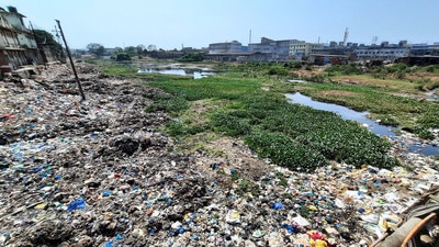 Kamvari River in Bhiwandi covered with garbage. Residents claim the river has not been cleaned. (PRAFUL GANGURDE/HT PHOTO) Kamvari River in Bhiwandi covered with garbage. Residents claim the river has not been cleaned. (PRAFUL GANGURDE/HT PHOTO)