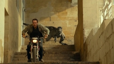 A still from Jurassic World Dominion. A still from Jurassic World Dominion. 