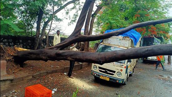 A tree fell on a tempo due to heavy rain and wind near Lodha Paradise, in Thane on Saturday. (ANI)