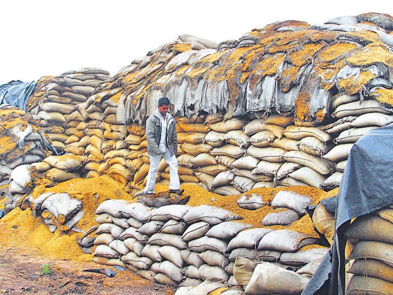 In March 2020, the government launched PMGKAY as part of a larger set of measures to offset the financial impact of the pandemic. (HT PHOTO)